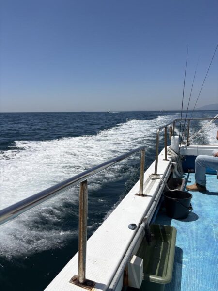 海王神ティップラン調査便