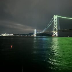 大サバ調査
