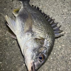 チニング