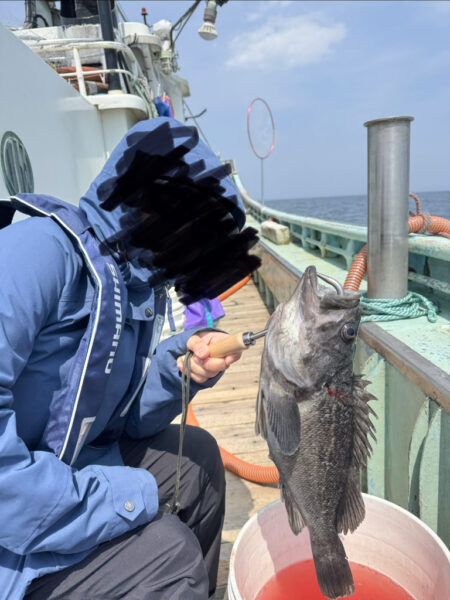 桜咲く海上からのお便りは2nd