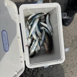 ホッケリベンジ！