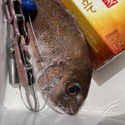 リベンジ釣行