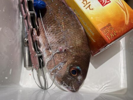 リベンジ釣行