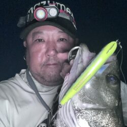 5月なんとかボーズ回避！