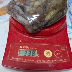 今シーズン初安打〜！