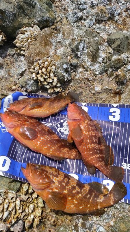 自作で釣れる喜び