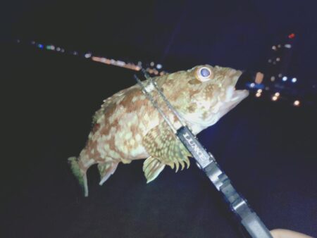 サーフでフロートメバリング🎣