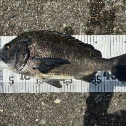 イチノ兄弟、釣果！