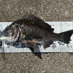 イチノ兄弟、釣果！