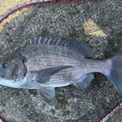 イチノ兄弟、釣果！