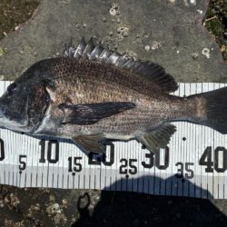 イチノ兄弟、釣果!