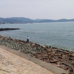 今シーズンの片男波