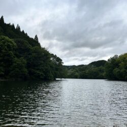 初場所
