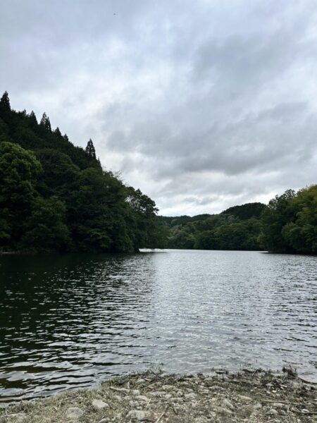 初場所