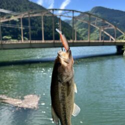 ダム巡り