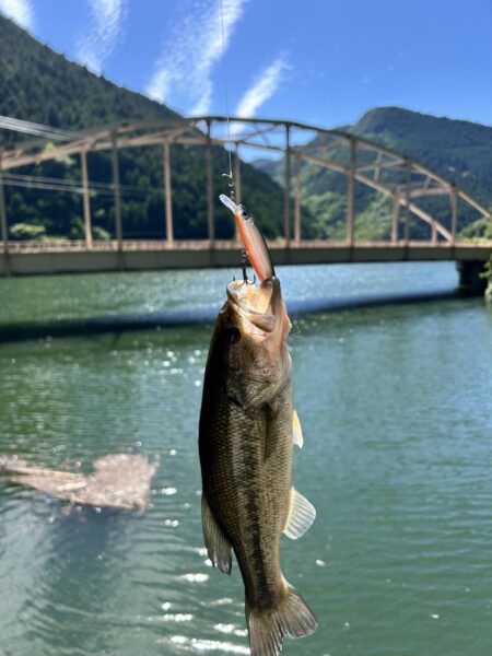 ダム巡り