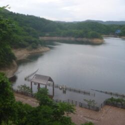 淡水魚釣行　5月26日