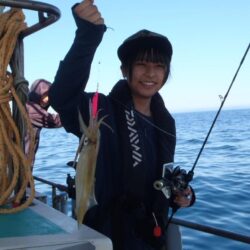 玄界灘イカ状況＆お魚状況