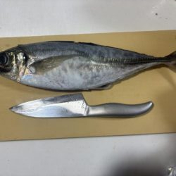 アジング