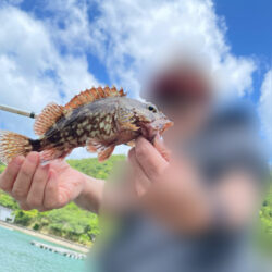 カサゴ釣り