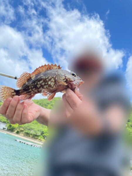 カサゴ釣り