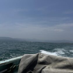 桜咲く海上からのお便りは2nd