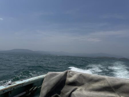 桜咲く海上からのお便りは2nd