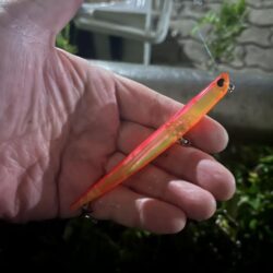 暴風の中バチ抜けシーバス