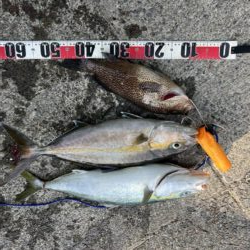 おかわり３連発