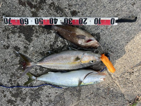 おかわり３連発
