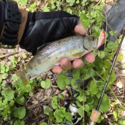ド渇水やった