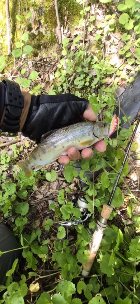 ド渇水やった