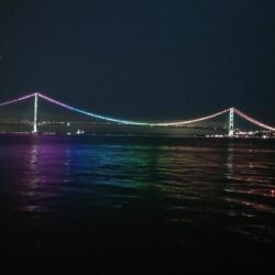 電気ウキ釣り 13