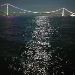 電気ウキ釣り 14