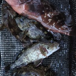 1年振りの伊勢湾釣行