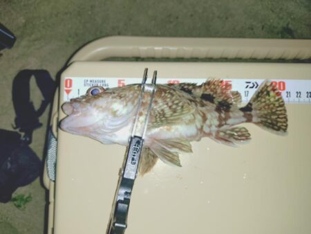 サーフでフロートメバリング🎣
