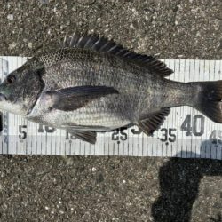 イチノ兄弟、釣果！
