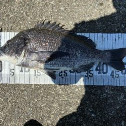 イチノ兄弟、釣果！