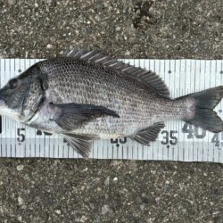 イチノ兄弟、釣果！