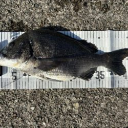 イチノ兄弟、釣果！