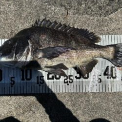 イチノ兄弟、釣果！