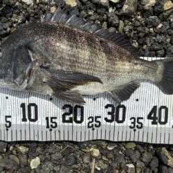 イチノ兄弟、釣果！