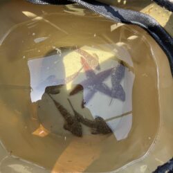 カレイは不発！テンコチは連発！