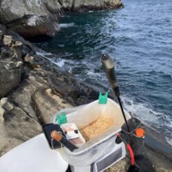 磯フカセ釣り