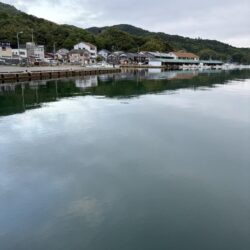 春イカ探し第三弾