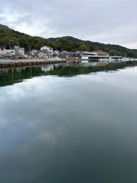 春イカ探し第三弾