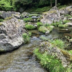 ハイシーズン