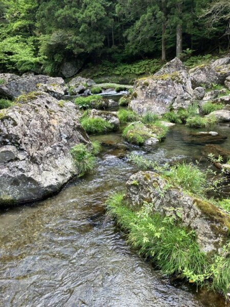ハイシーズン