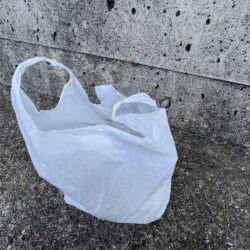 清掃活動：サビキのシーズン到来①