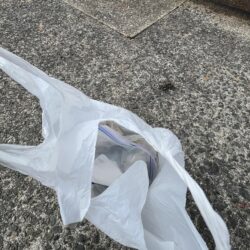 清掃活動：サビキ株価値下がり中